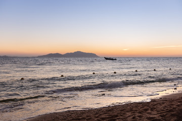 Fototapeta premium Red sea beach at sunrise