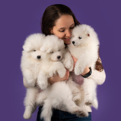 young girl and little samoyed puppies