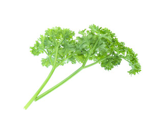 Parsley isolated on white background