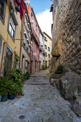 Narrow cobblestone alley in Porto, Portugal with potted plants and cute doorways