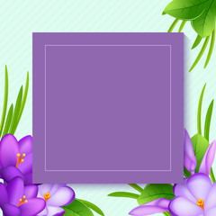 Beautiful texture with crocuses, young green leaves and spring grass. For decor and parties. Spring background.