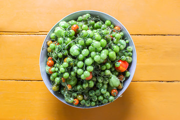 Ripe red and green unripe tomatoes