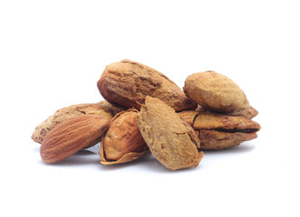 Almond isolated on white background
