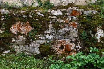 Old stone fence overgrown with moss