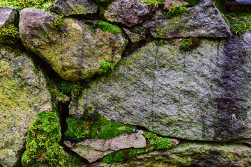 Stone and moss background. Photography for your design.