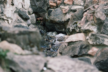 Flowing water on Bastion hill in Riga, Latvia, East Europe