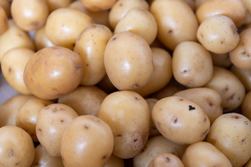 Boiled and peeled potatoes used in mayonnaise salad