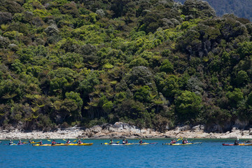 Abel tasman National Park New Zealand. Canoes