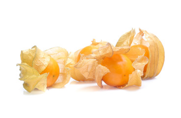 Physalis ,cape gooseberry isolated on white