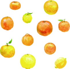 Citrus fruits produced in Seto Inland Sea Area