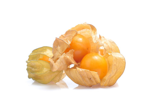 Physalis ,cape Gooseberry Isolated On White