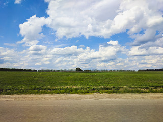 Fototapeta na wymiar beautiful landscape of a rural road, wheat field and blue sky