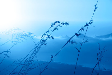 The beautiful sunrise in the mountaines in the trendy classic blue color of the year.