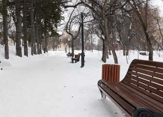 wooden bench in the winter park