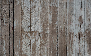 Wood Texture With Natural Pattern