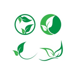 Green leaf logo