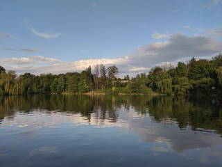 beautiful lake in a village near a pine forest