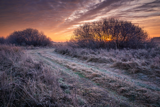 Road during a frosty morning in Oborskie Meadows, Konstancin Jeziorna, Poland