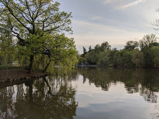 beautiful lake in a village near a pine forest