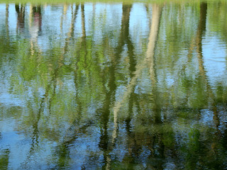abstract reflection of spring tree on water in the pond