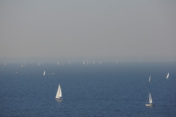 Fog over the bay and many small yachts.