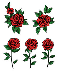 Set of flowers. Vector illustration of red roses, buds and green leaves in traditional ink style. Floral arrangement. Isolated on white background.