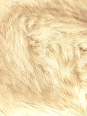Natural fur luxury texture, background. Fashion pattern modern, backdrop surface photo empty