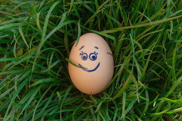 Easter egg with painted eyes and a smile lies in the bright green lawn grass. Funny colorful spring background for happy easter.