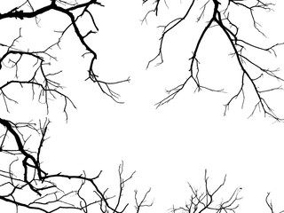 branch of tree silhouette on white background