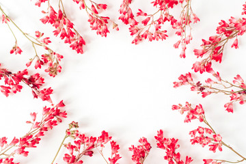 Colorful red wildflowers on white background. Flat lay, top view floral frame border with copy space mockup. Valentine's day concept.