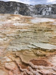 Mammoth hot springs, Yellowstone