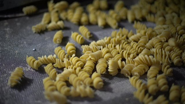 Wide angle shot of rotini scroodle macaroni fusilli short pasta passing on a machinery to prepare pasta in Italy.