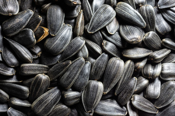 texture of sunflower seeds