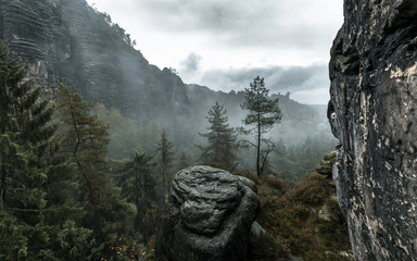 Nebel in Rathen Sächsische Schweiz