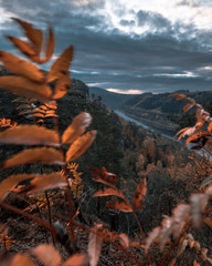 Wandern in Bad Schandau
