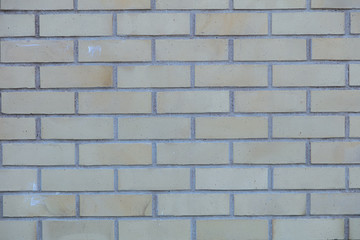Natural, background. The wall is brick. Yellow brick. Close-up