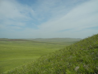 green field and blue sky