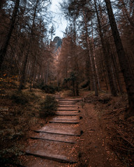 Wanderung im Kirnitzschtal Sächsische Schweiz