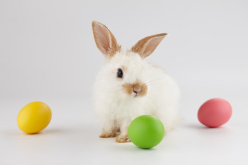 Easter bunny rabbit with colorful eggs