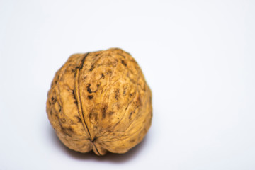 One walnut close up on a white background.