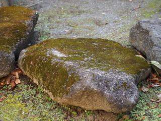 石と苔