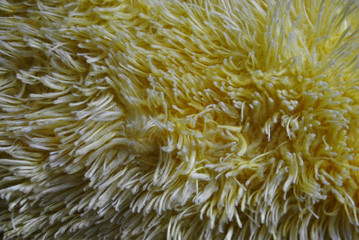 yellow faux fur, texture, fur, abstract, carpet, textured, yellow, material,