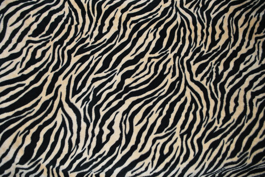 seamless pattern, zebra, pattern, animal, texture, zebra, pattern, animal, texture, skin, fur, tiger, black, white, leopard, skin, fur, tiger, black, white, leopard, 