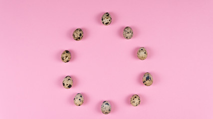 Quail eggs roll in shape of big egg on pink background, flat lay