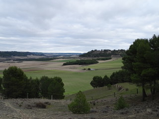 vistass