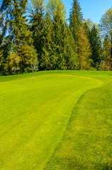 Gorgeous green at the beautiful golf course.