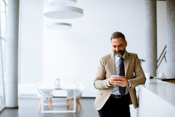 Senior businessman using mobile phone in modern office