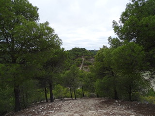 altutas
