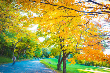 Mont Royal in Autumn, Montreal, Canada