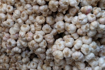 Garlic, spices and Thai herbs. Seasonal agricultural products in Thailand are sold in agricultural markets. Garlic is often used as an ingredient and flavored in food.